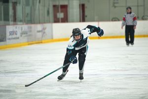 Hockey action