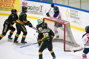 Hockey action