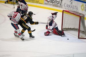 Hockey action