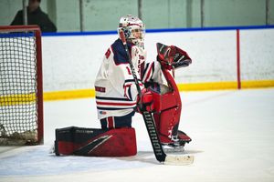 Hockey game portrait