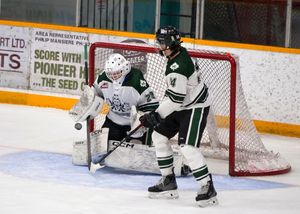 Hockey action