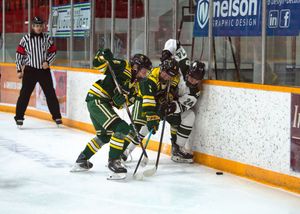 Hockey action