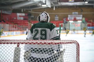 Hockey portrait