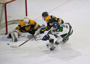 Hockey action
