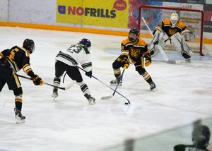 Hockey action