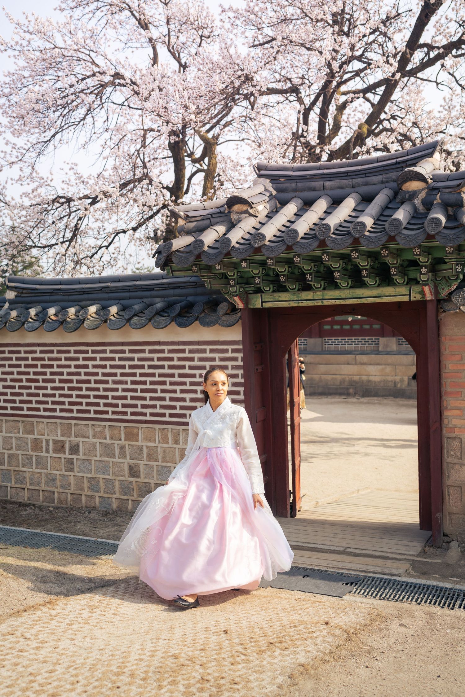 Traditional Korean hanbok dress in pink and white worn at temple entrance with cherry blossoms blooming overhead.