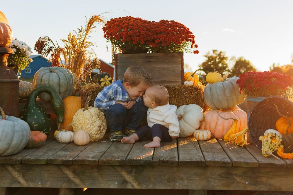 A row of pumpkins and autumn decor arranged on wooden steps at sunset creates a cozy fall display.