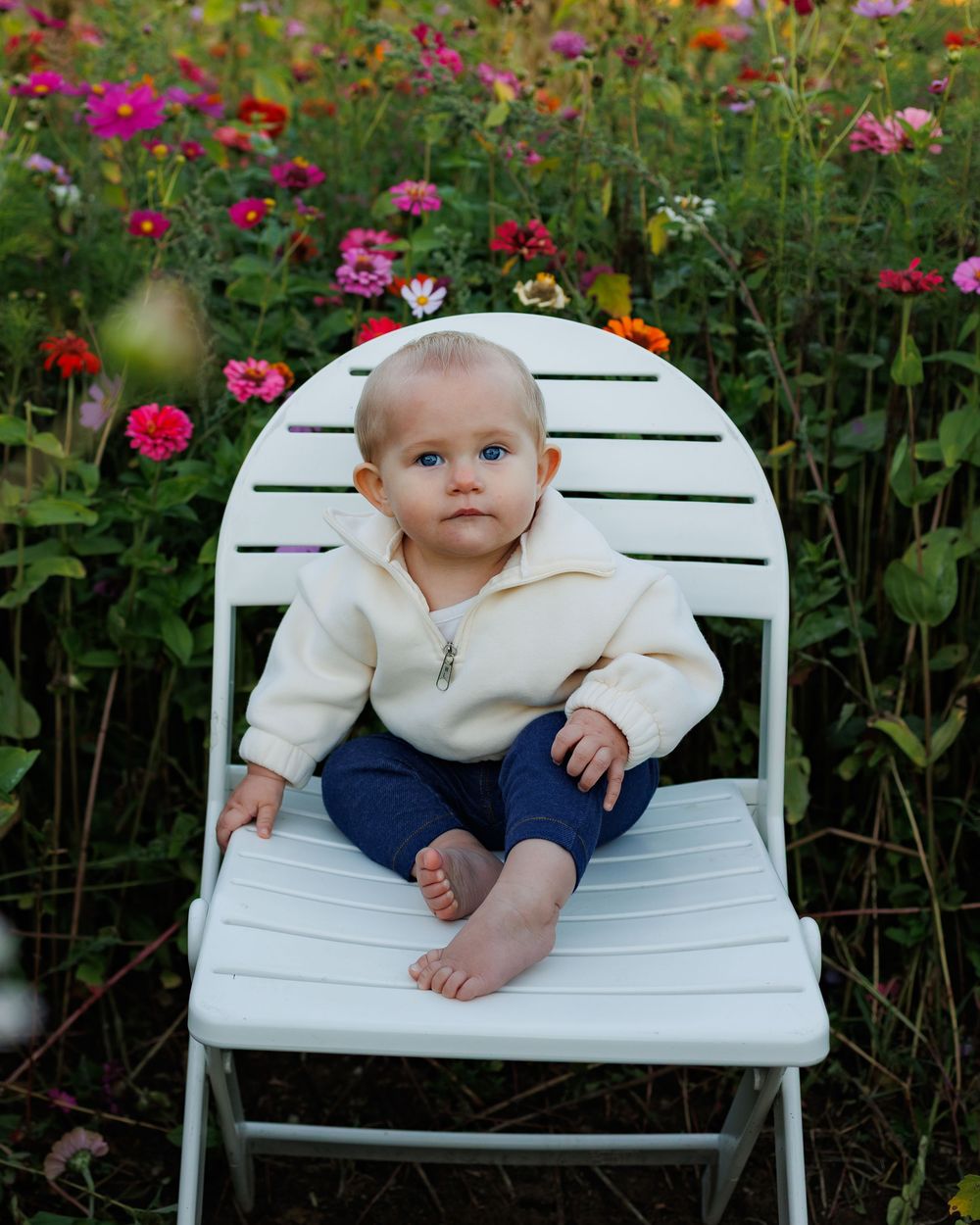 White Adirondack chair sits in a colorful garden with vibrant pink and red zinnias blooming around it.