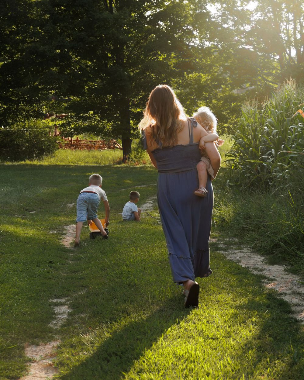 People enjoying a summer evening in a backyard garden with golden sunlight filtering through trees.