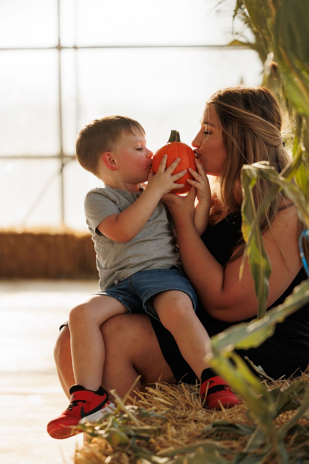 A tender moment captured in a greenhouse setting with sunlight streaming through glass panels.