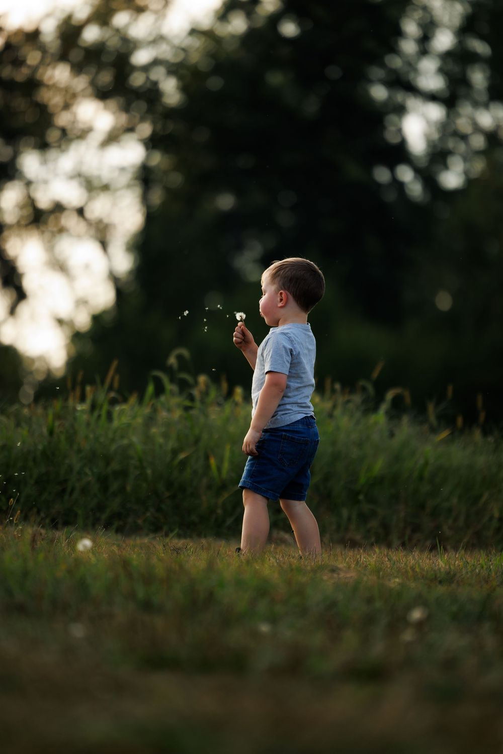 Child plays in a grassy field at sunset with blurred bokeh background.