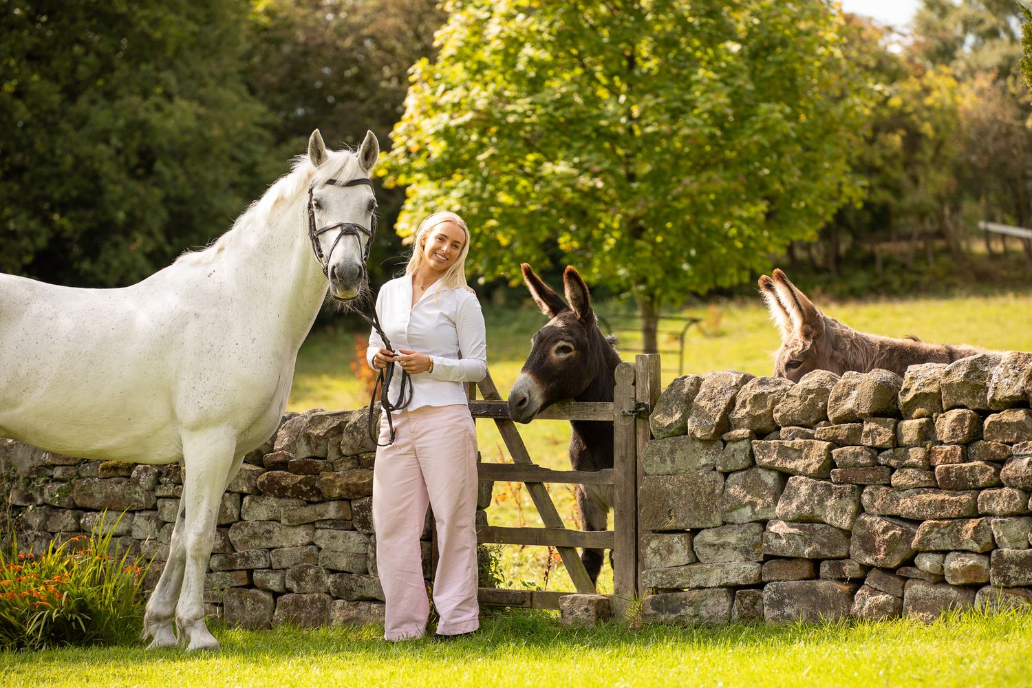 A series of seven photos showing a white horse and rider interacting at a wooden fence in an outdoor setting.
