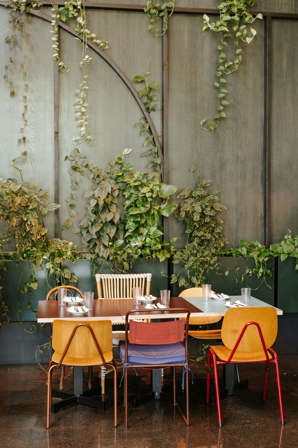 Sequence of four separate wood chairs in warm tones arranged side by side against a wall with climbing vines. Picnic Philadelphia