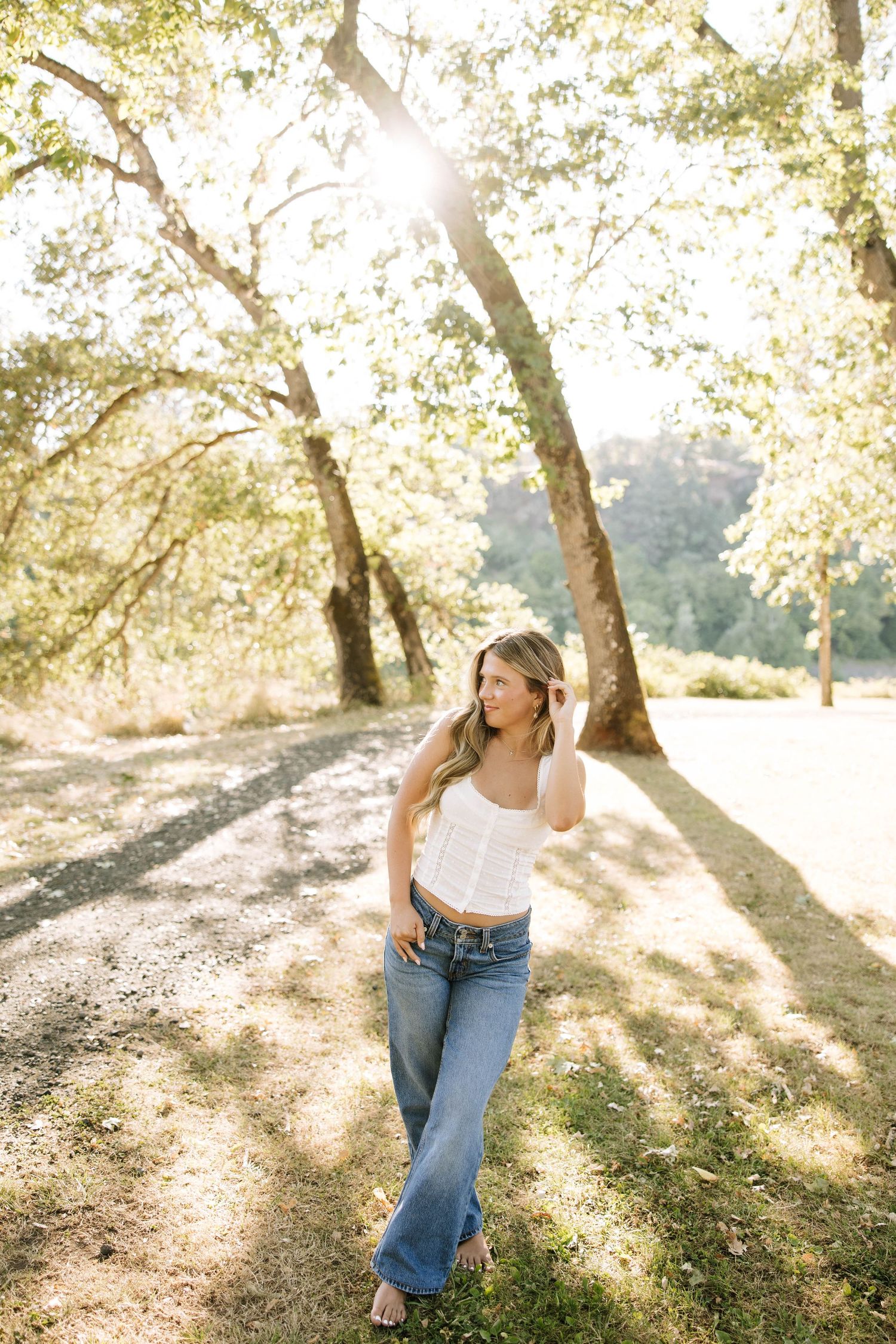 Sunlight filters through oak trees creating a dappled effect on a grassy hillside.