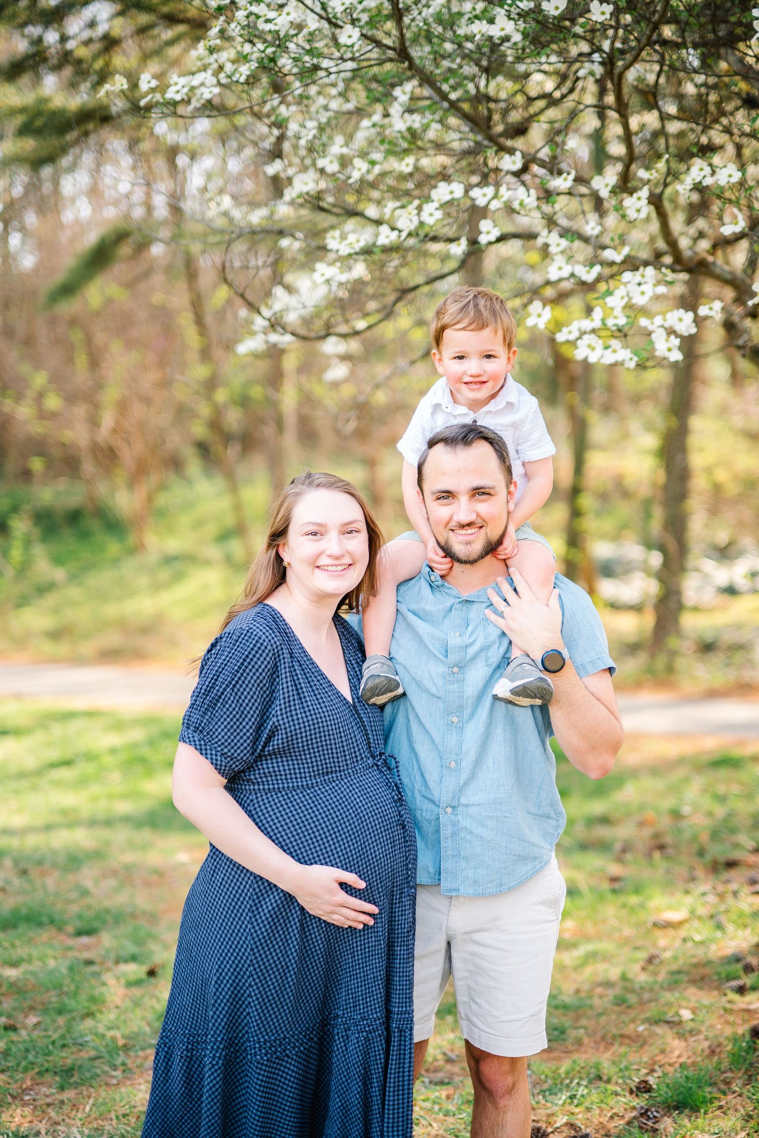 Happy pregnant family with dad giving toddler son shoulder ride under blooming spring tree.