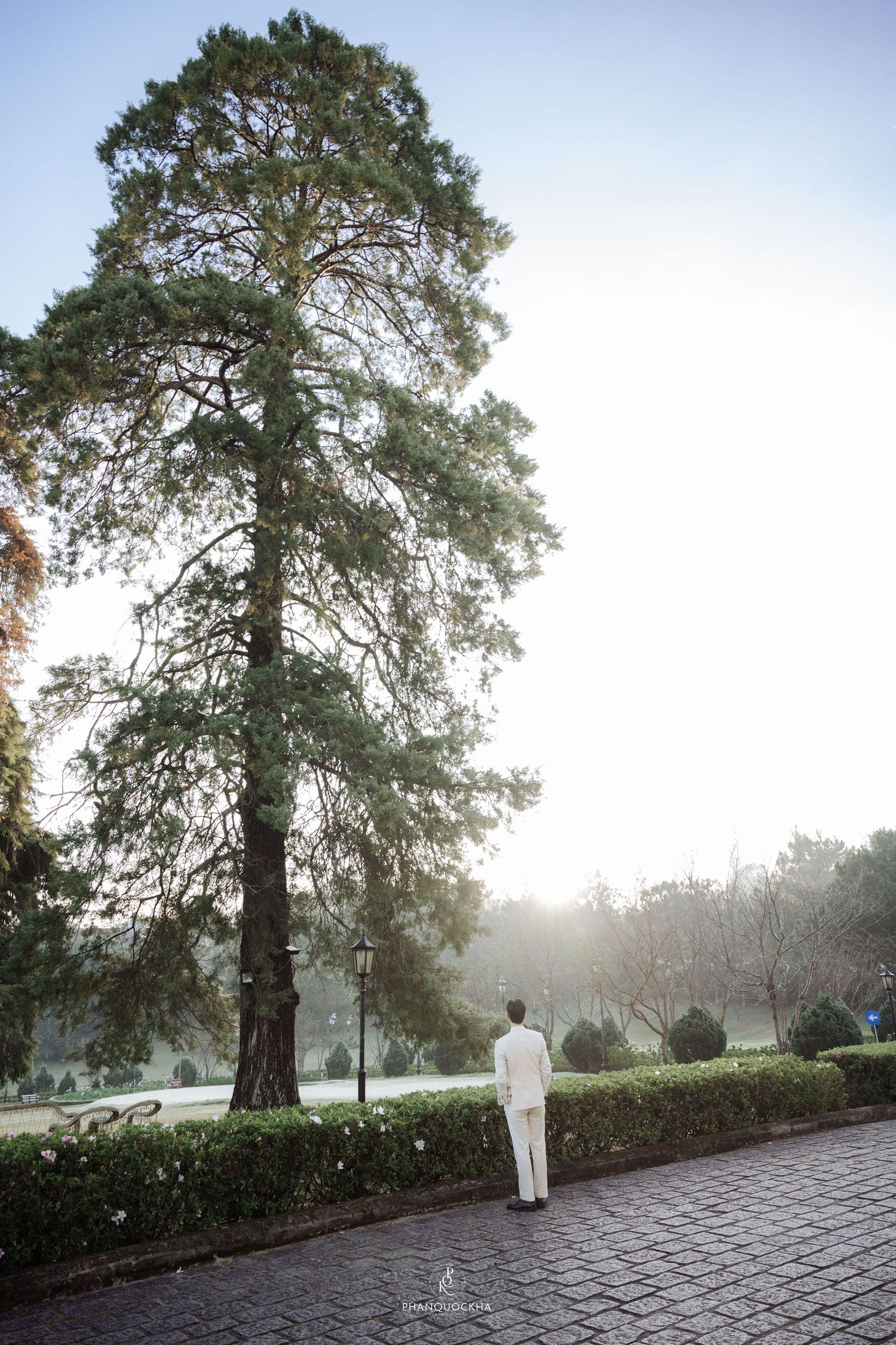 Groom in white suit standing before a towering tree in a sunlit park on his wedding day.