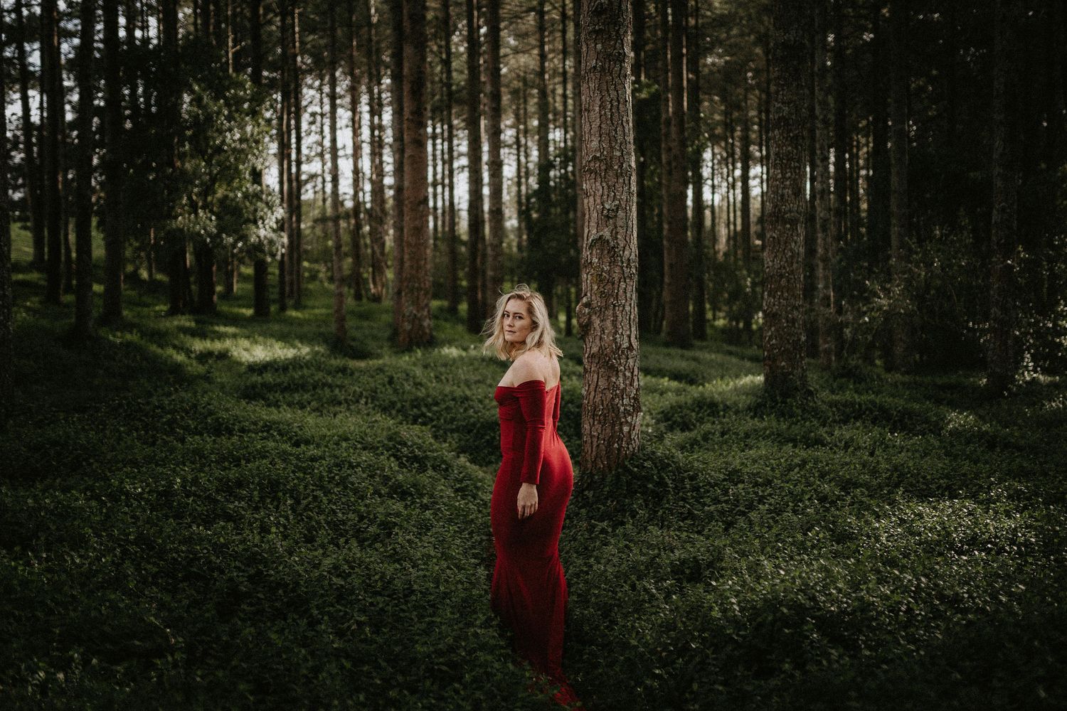 Figure in a bright red dress walks through a moody evergreen forest with tall pine trees and lush undergrowth.
