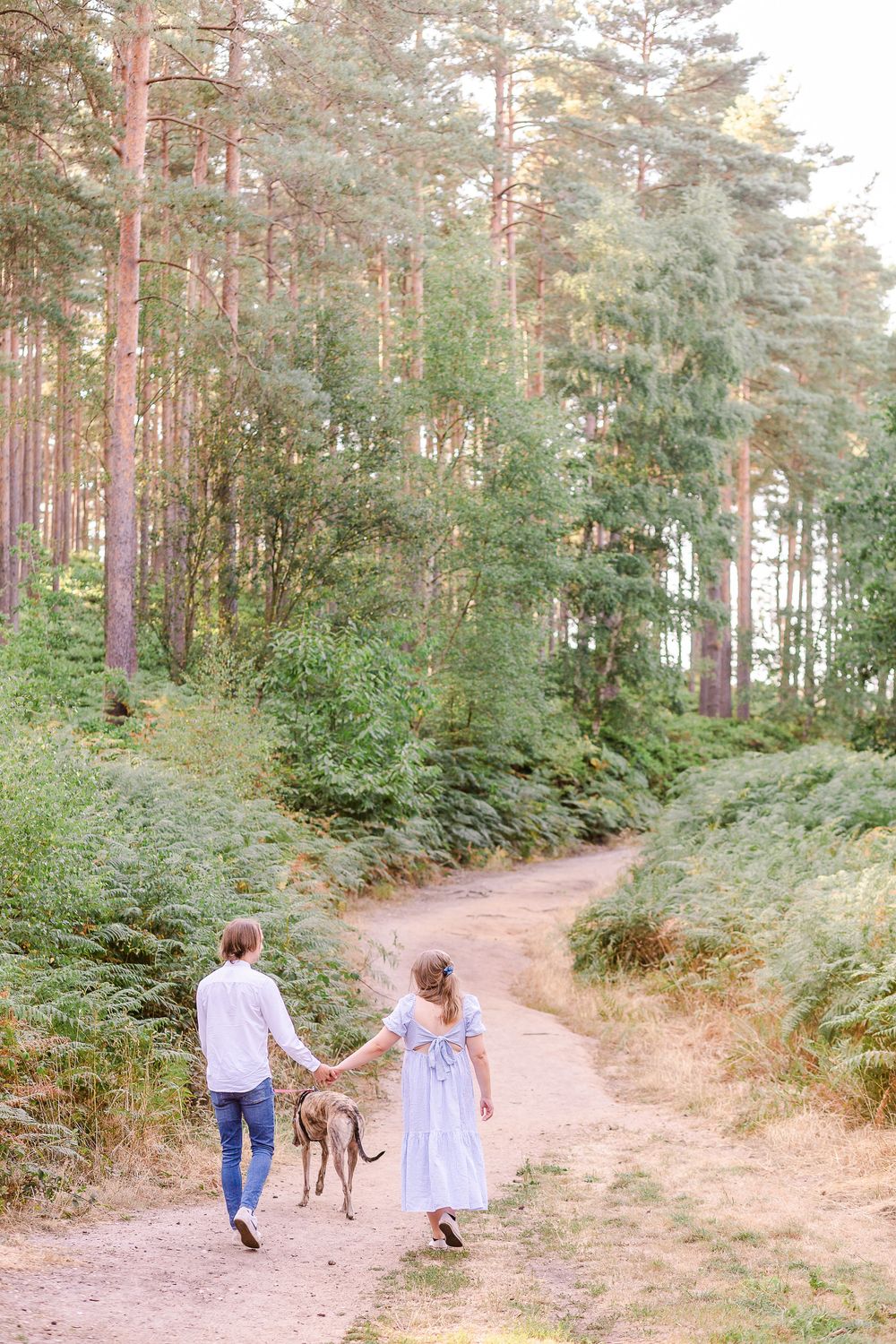 A couple and their dog walk along a winding forest path surrounded by tall pine trees.