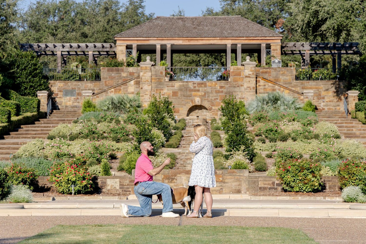 Candid reaction to romantic proposal in Fort Worth