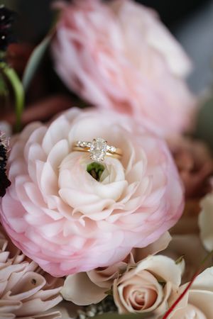 Close-up of delicate pink ranunculus flowers with an engagement ring nestled among the petals.