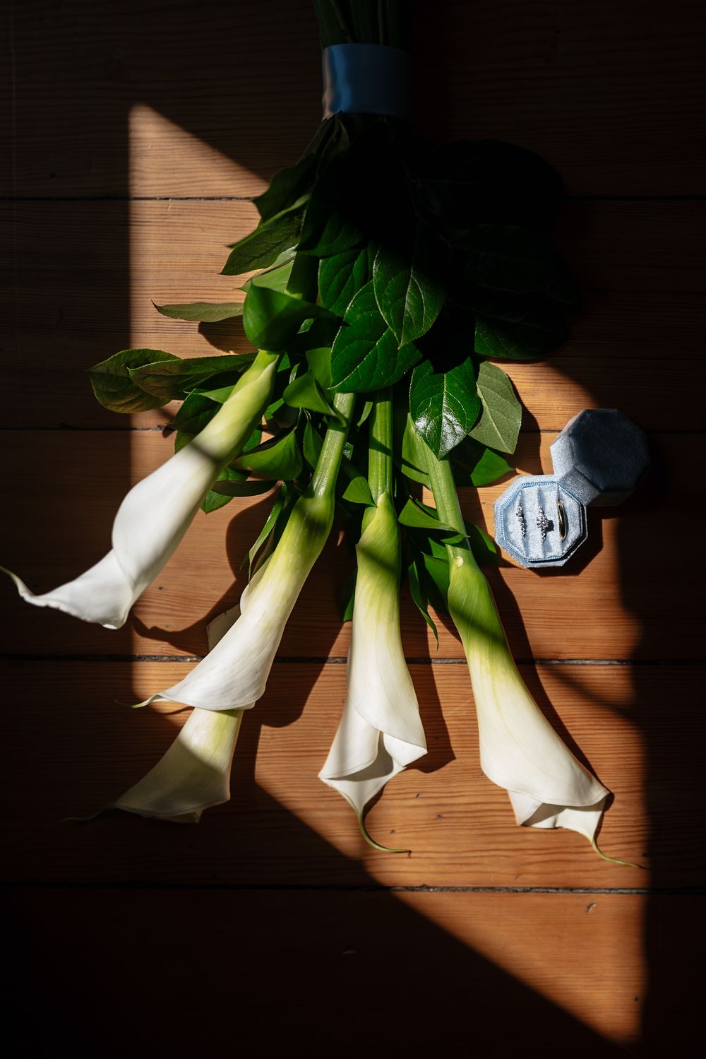 Fresh green and white baby bok choy vegetables cast dramatic shadows on a wooden cutting board in dramatic lighting.