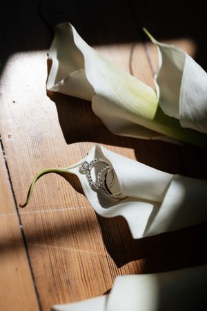 Close-up shots of white calla lilies on wooden surface with dramatic lighting and shadows.