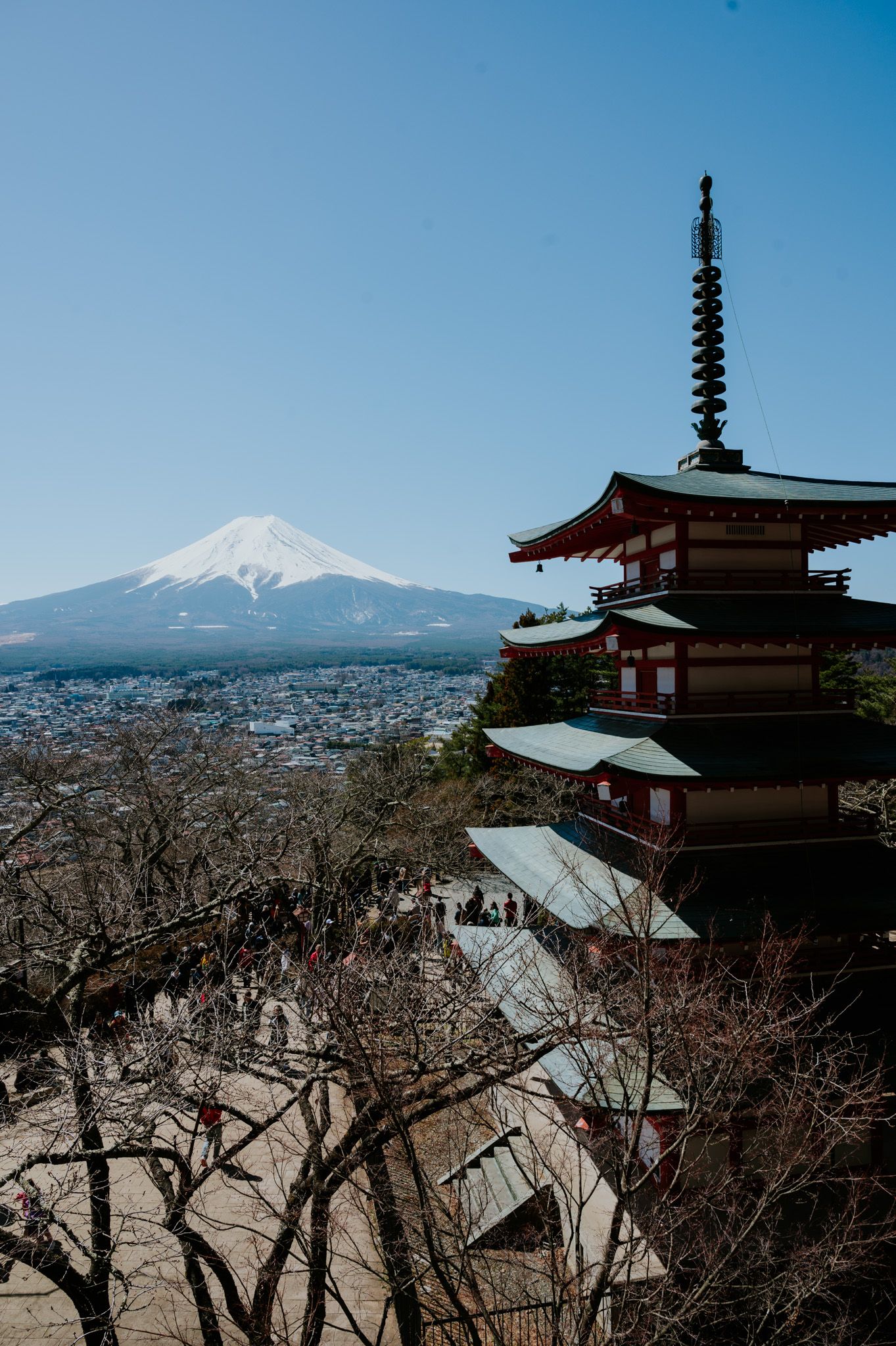 Mount Fuji rises majestically behind traditional Japanese pagodas and bare winter trees at Arakurayama Sengen Shrine.