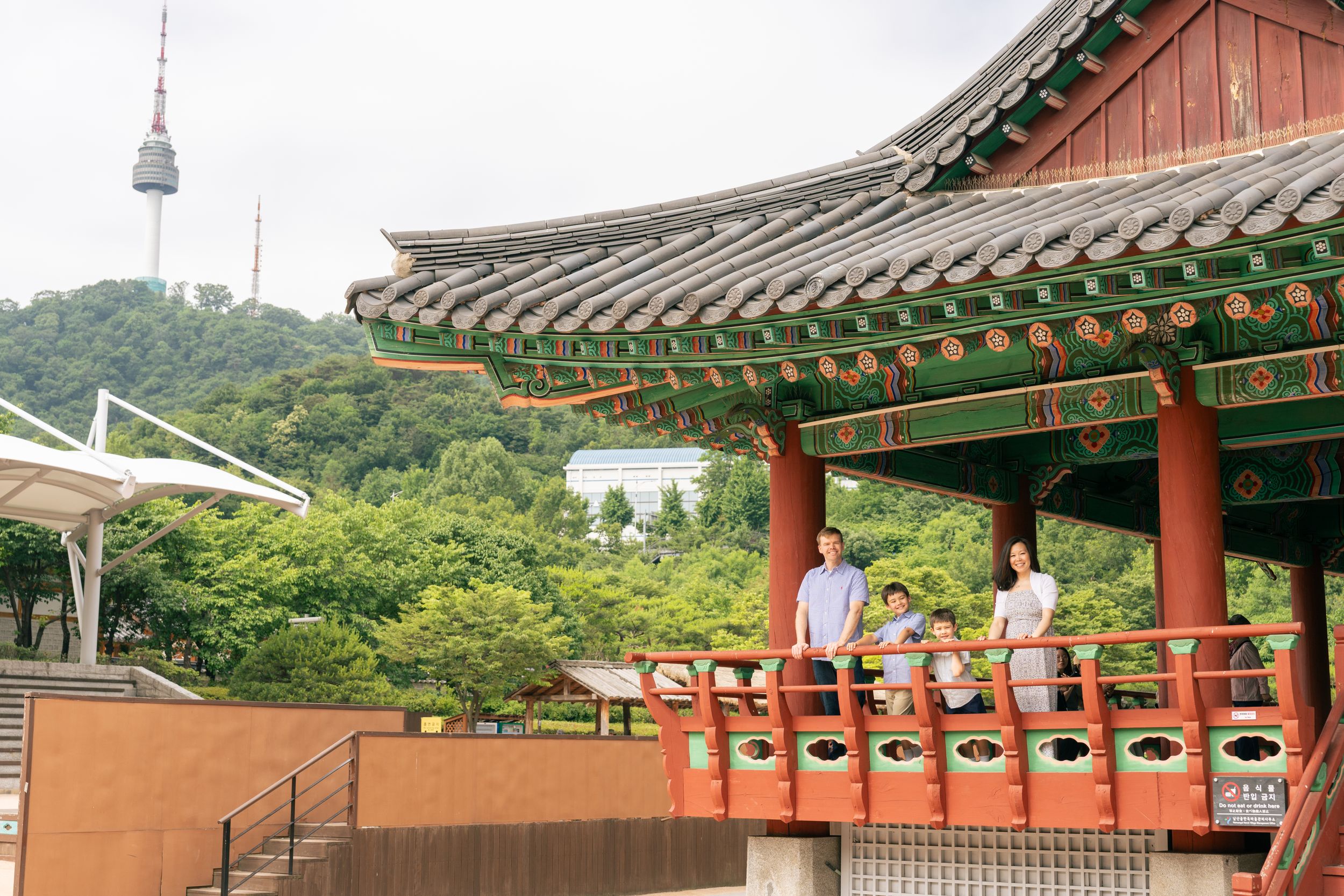 Red and green temple roofs stretch across a traditional Korean palace complex with mountains in the background.