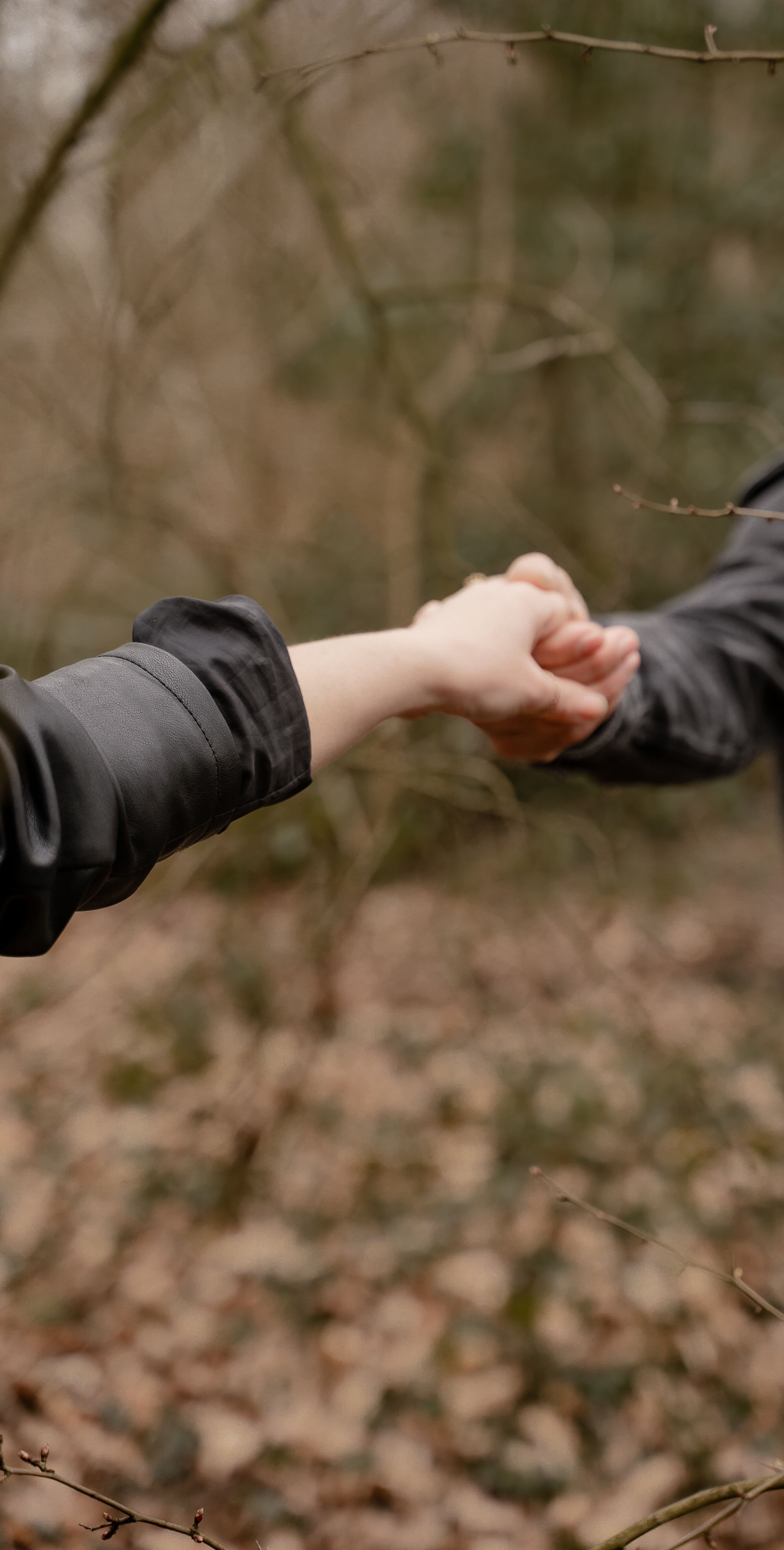 Two hands reaching out to touch each other against a blurred forest background with fallen autumn leaves.