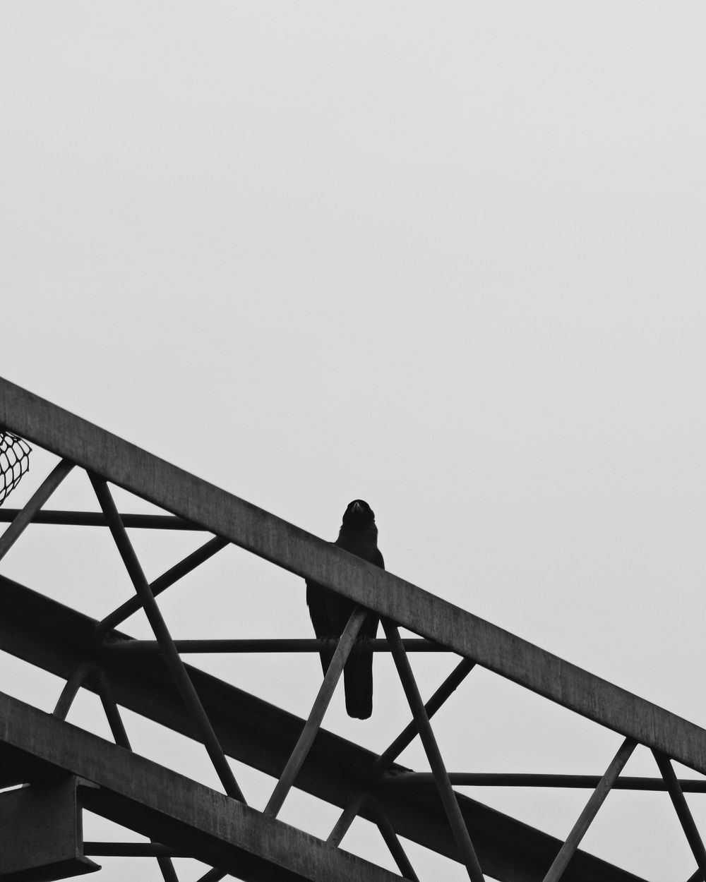 Black and white architectural detail showing geometric steel roof trusses against a light background.
