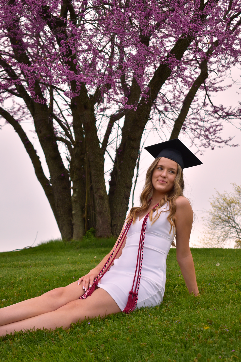 A graduation photo under a blooming cherry blossom tree on a grassy hill.