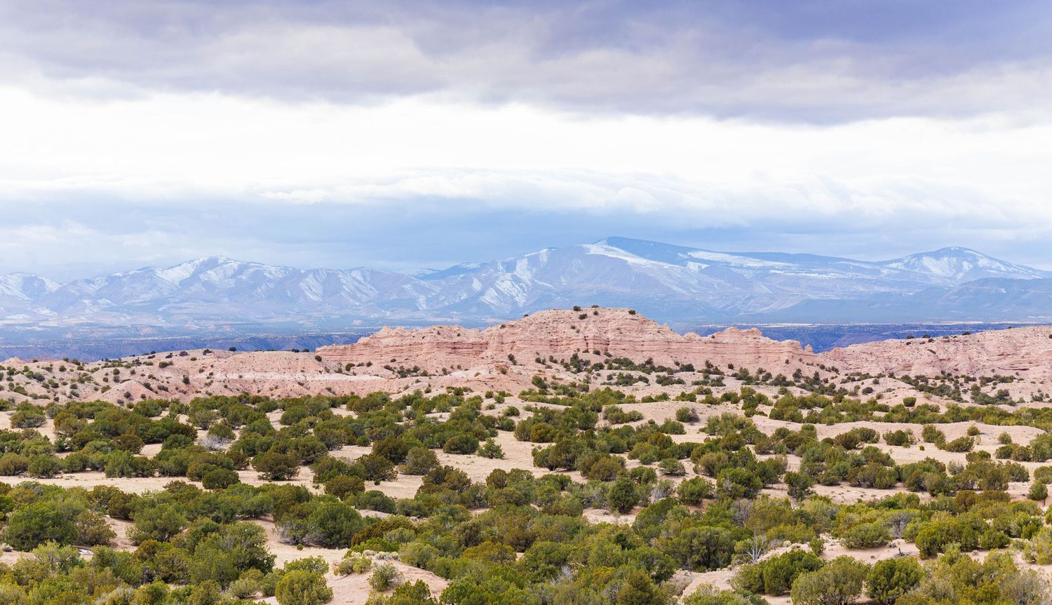 Panoramic desert landscape with mountains and scattered vegetation under blue skies.