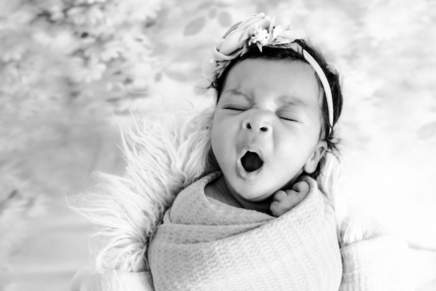 In Studio Long Island Newborn Photographer, Long Island family photographer, best newborn photographer, best family photographer, affordable