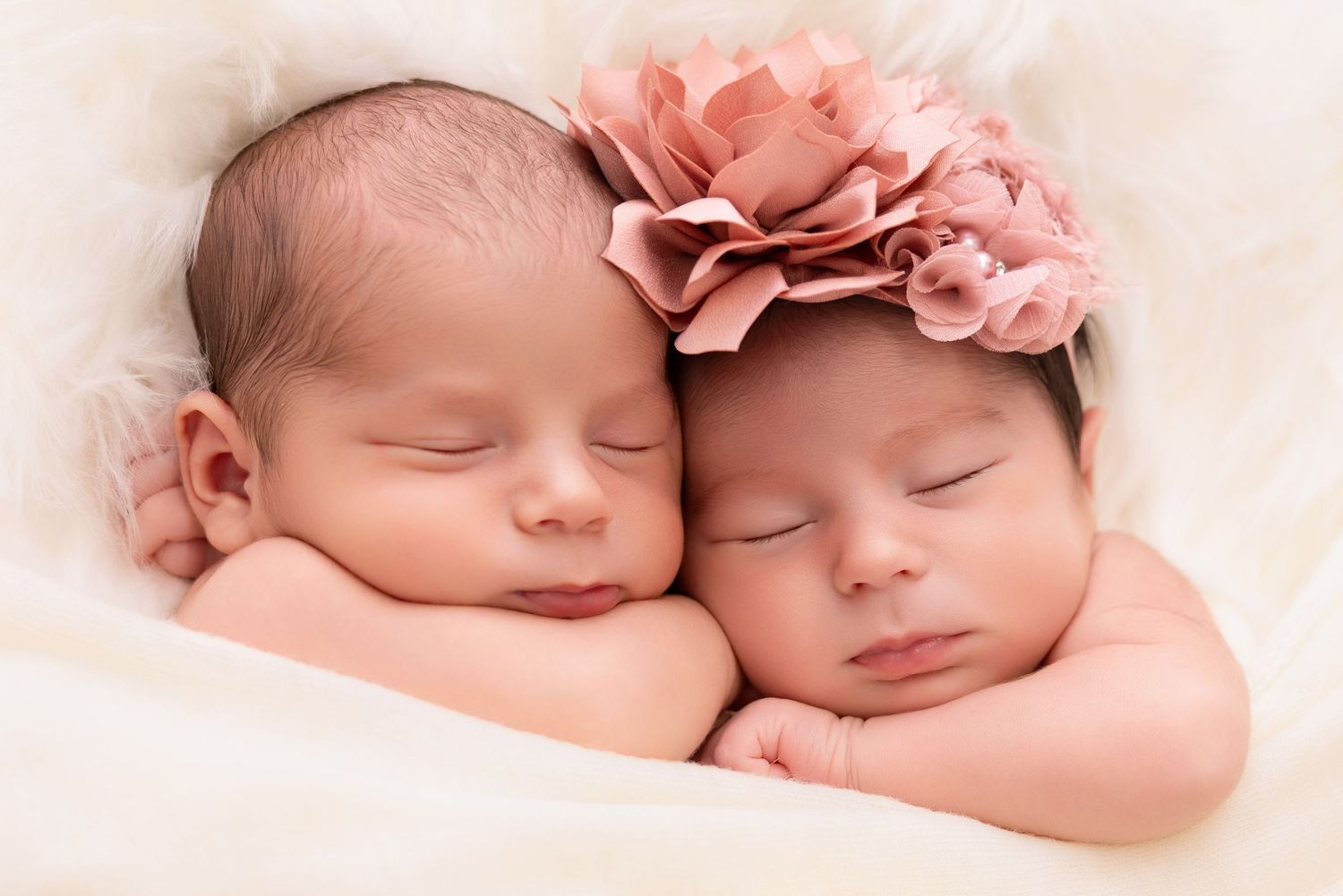 best Long Island newborn photographer, Syosset newborn photographer, Nassau county newborn photographer, Long Island twin photographer