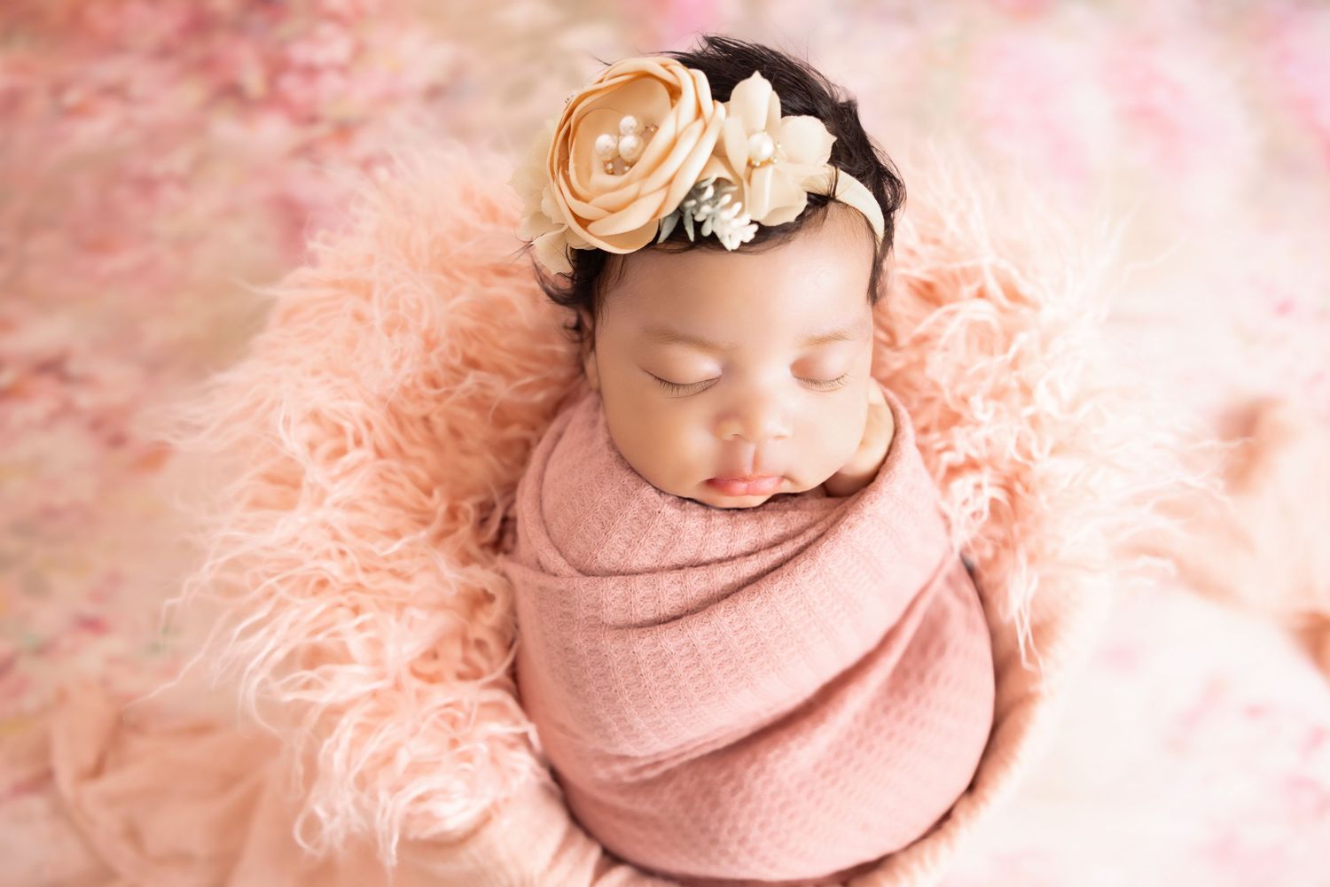 In Studio Long Island Newborn Photographer, Long Island family photographer, best newborn photographer, best family photographer, affordable