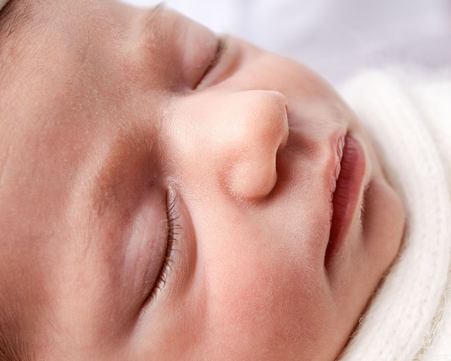 Close up newborn portrait of a sleeping newborns face against white backdrop by Caz Captures Newborn Photographer taken at Sydney studio.