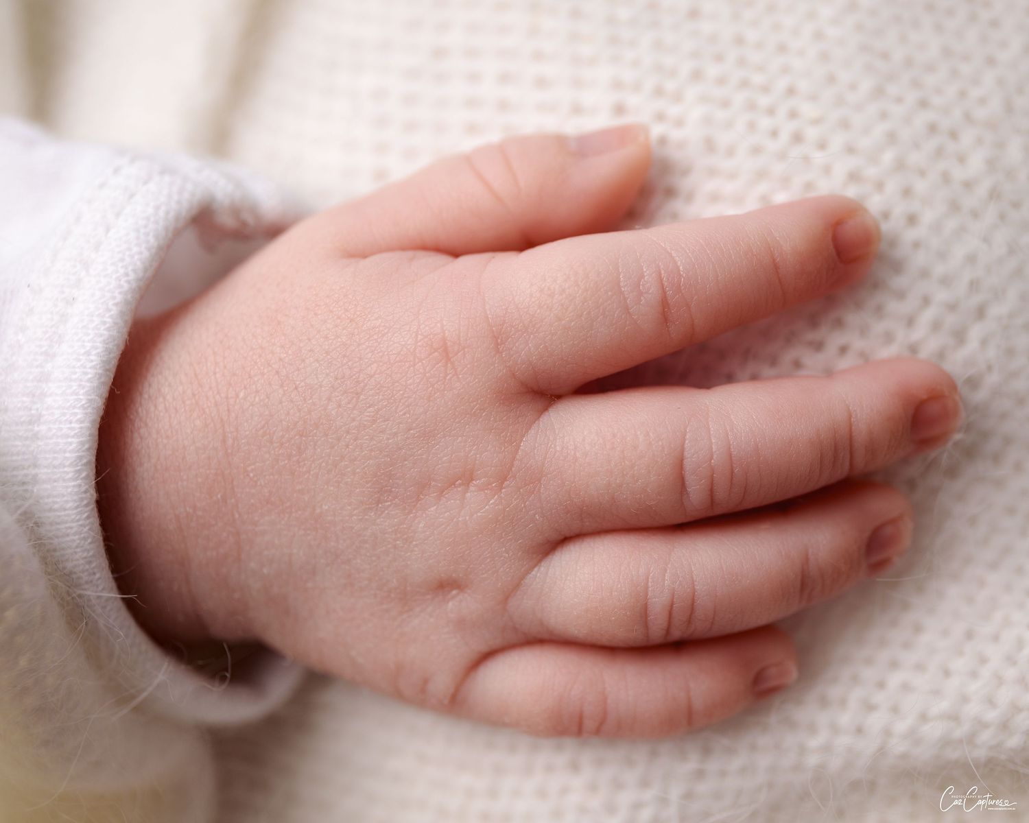 Close up photo of a newborns hand against a white blanket by Caz Captures Sydney Newborn Photographer.