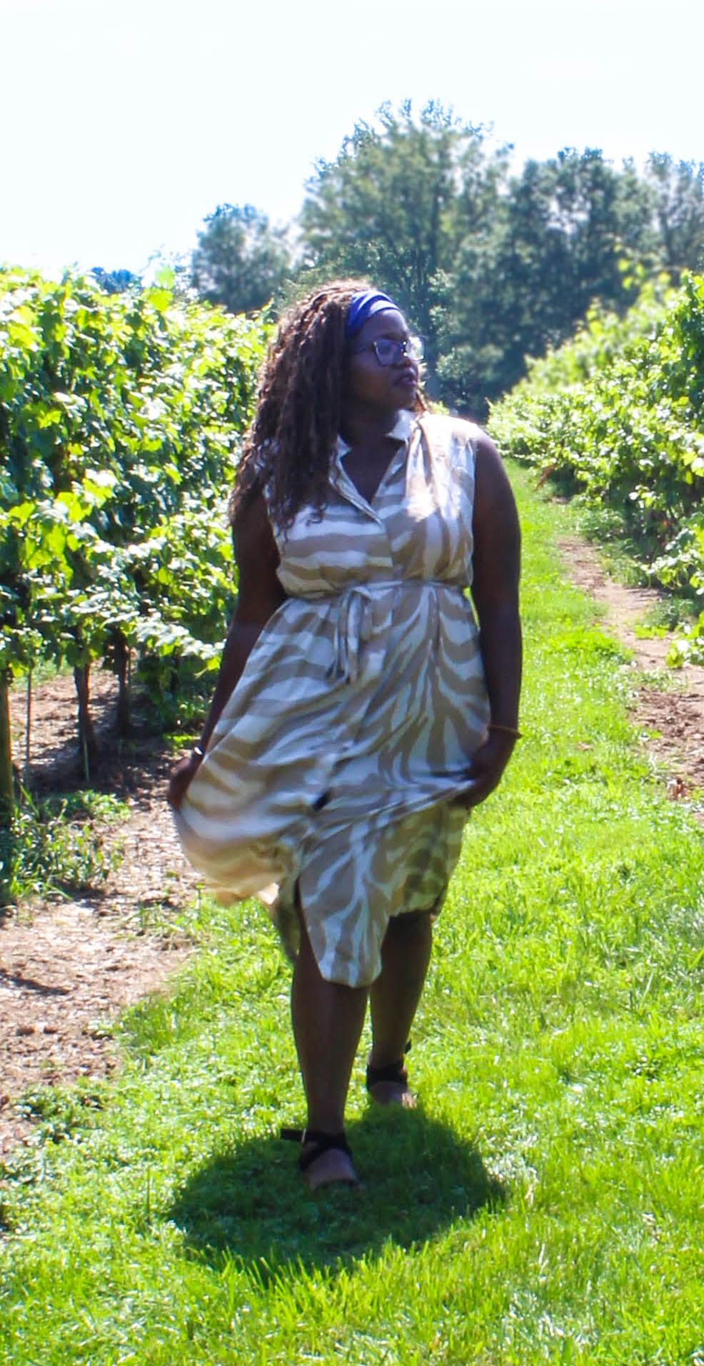 Someone in a white summer dress walks through a sunny vineyard with rows of grapevines on a bright day.