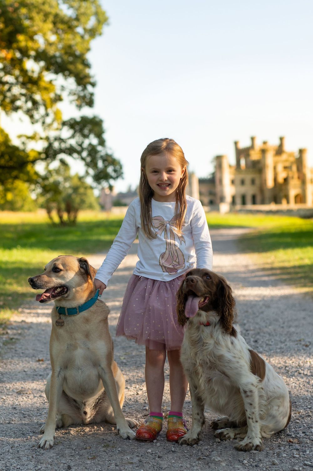 Two friendly dogs sit beside a child in a pink tulle skirt on a gravel path during golden hour.