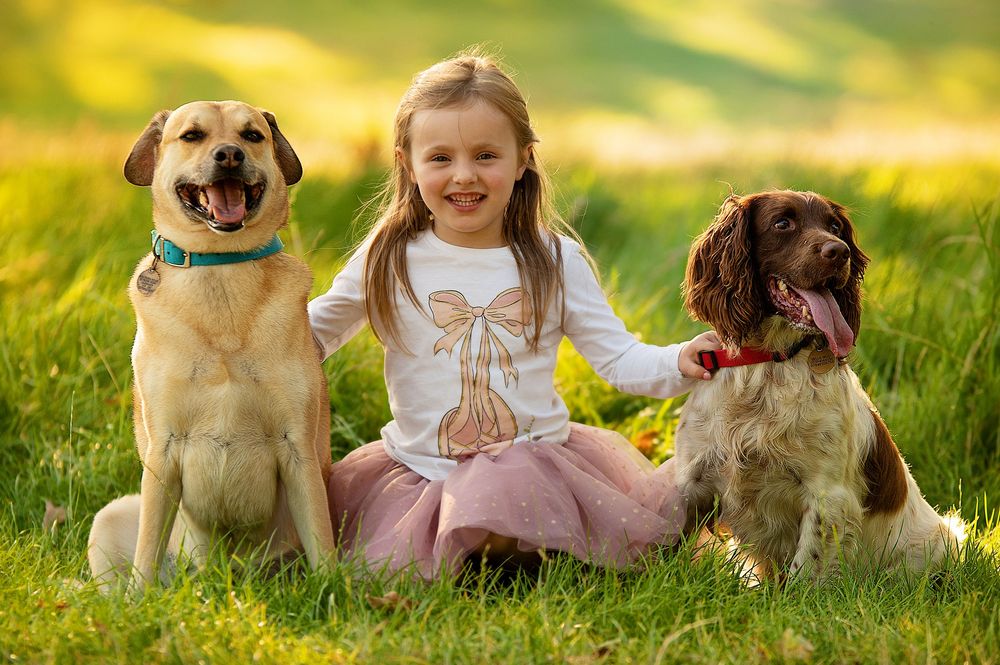 Two happy dogs sitting in a sunny meadow with a young companion in a pink tulle dress on a bright summer day.