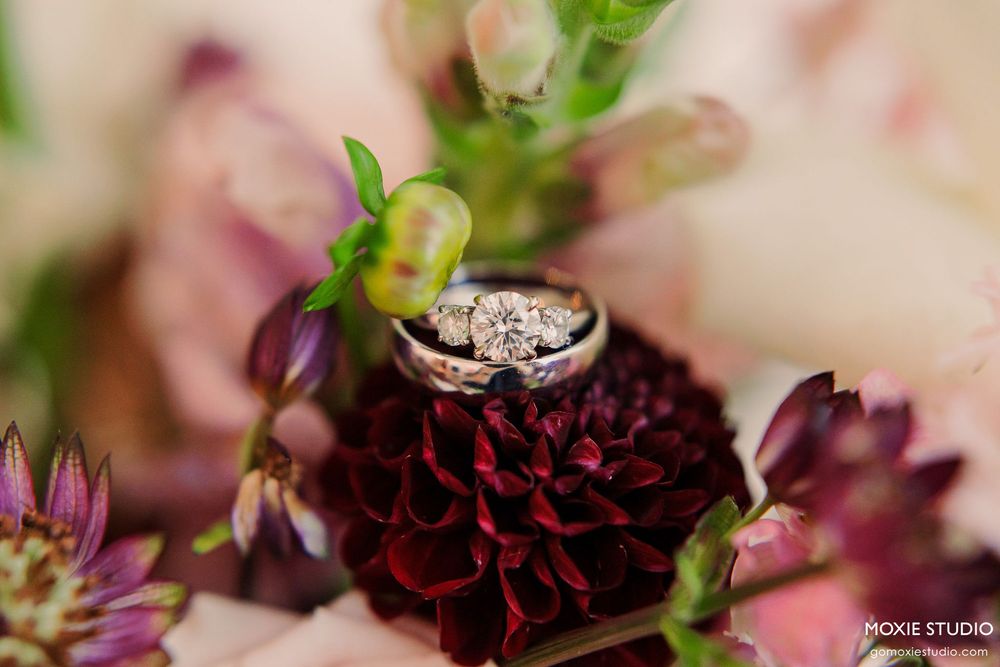 Wedding rings nestled on a deep burgundy dahlia flower with soft pink floral accents in the background.