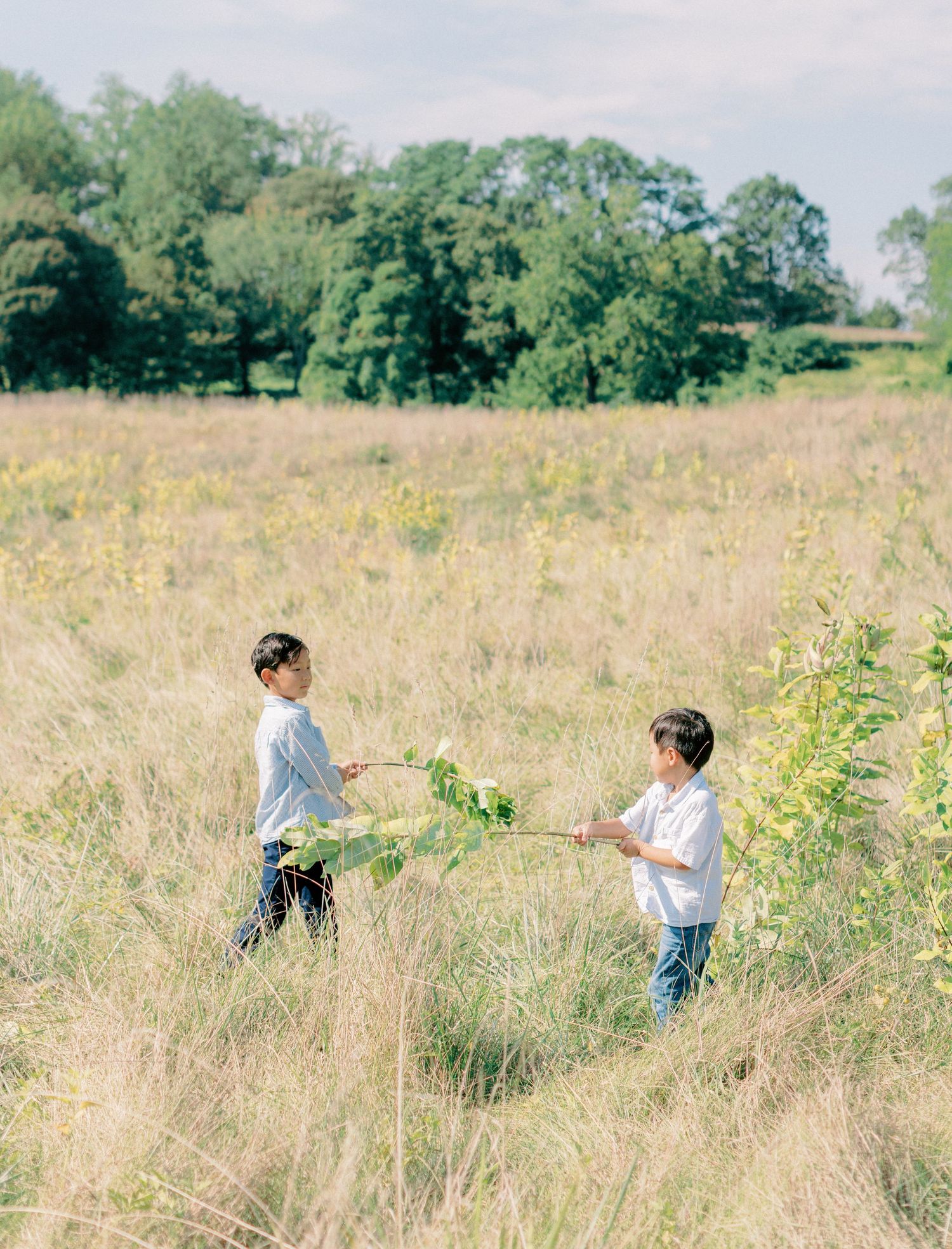 Jeanie Jang Photo New York Family Photographer