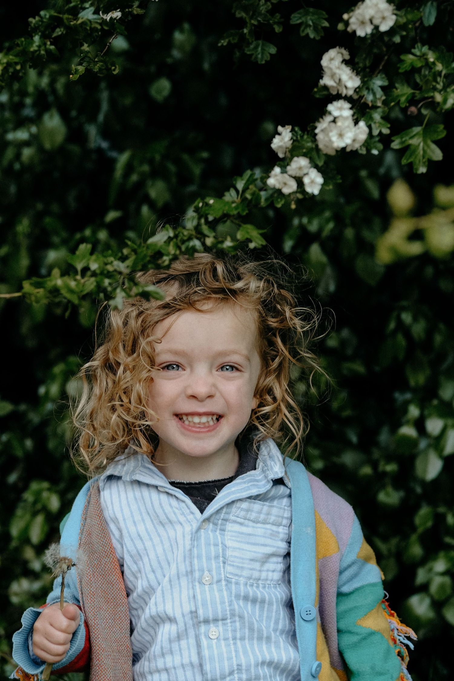 Portrait of a young child standing in front of garden greenery during a relaxed outdoor lifestyle family photography session in Gosforth