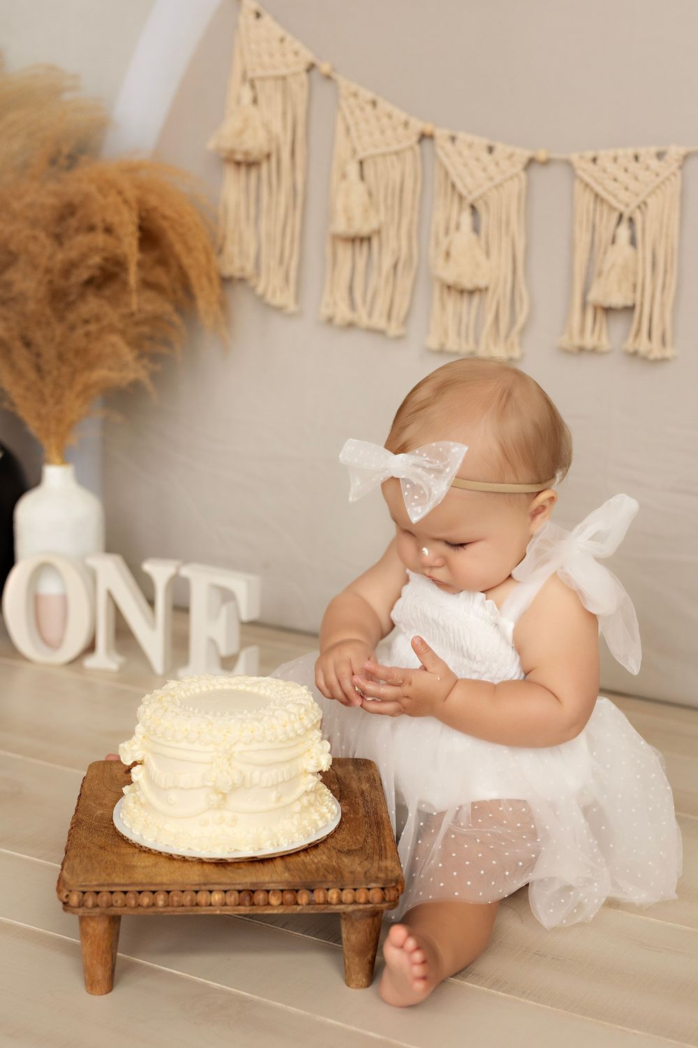 Cake Smash Photographer in Wisconsin, studio in Watertown WI serving Dodge County Jefferson County and Waukesha County
