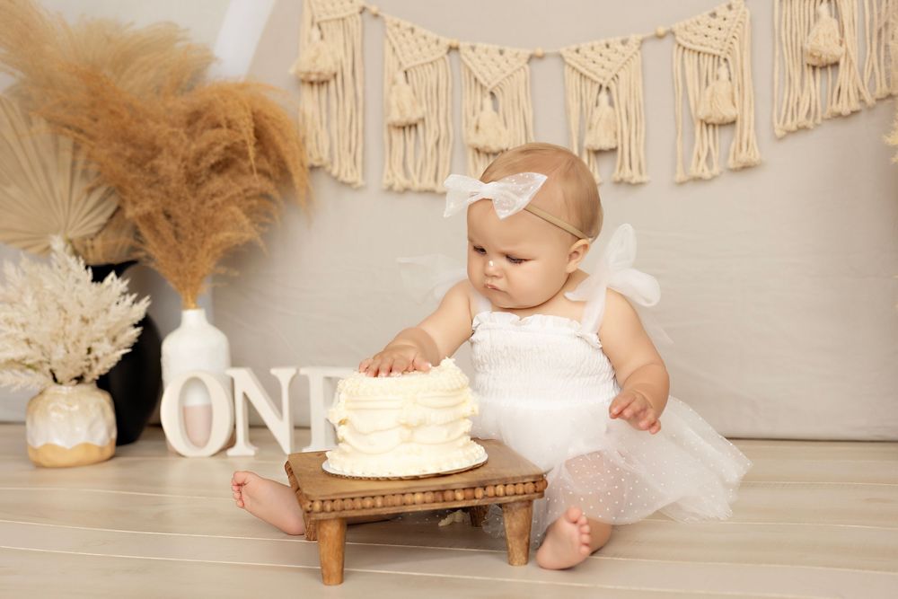 Cake Smash Photographer in Wisconsin, studio in Watertown WI serving Dodge County Jefferson County and Waukesha County