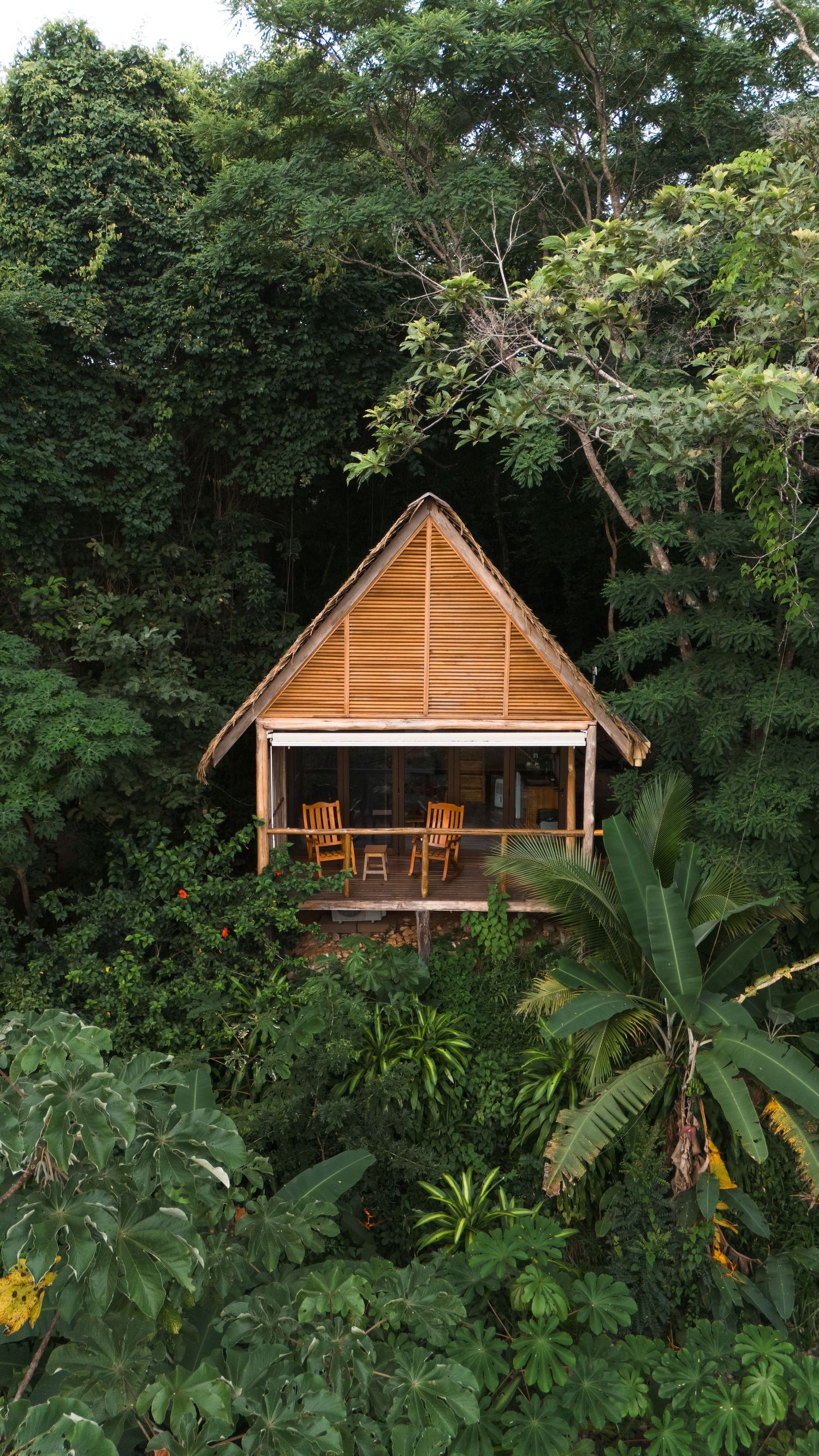 Wooden eco-lodges surrounded by tropical foliage in jungle setting.