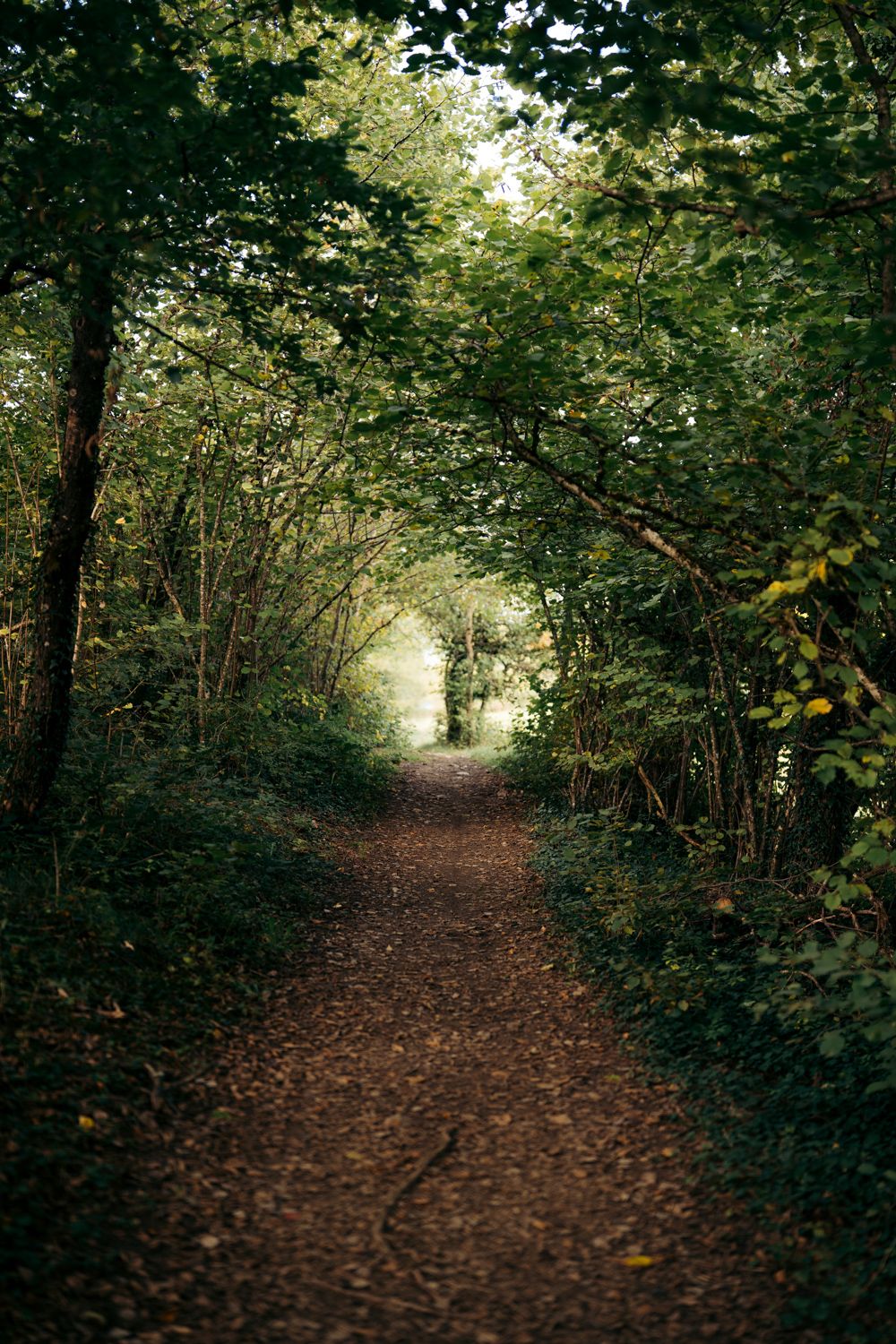 sentier sous les bois pour une balade facile autour de chambéry à curienne