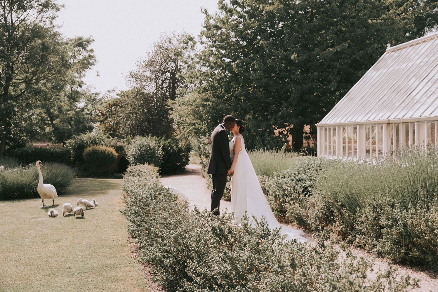 A wedding couple walking through a garden setting with a greenhouse and lush landscaping in the background.