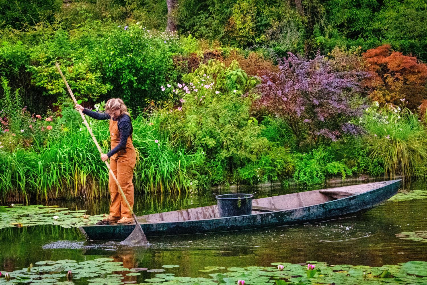 A gardener in orange overalls tends to a lush water garden with colorful foliage and a tranquil pond.