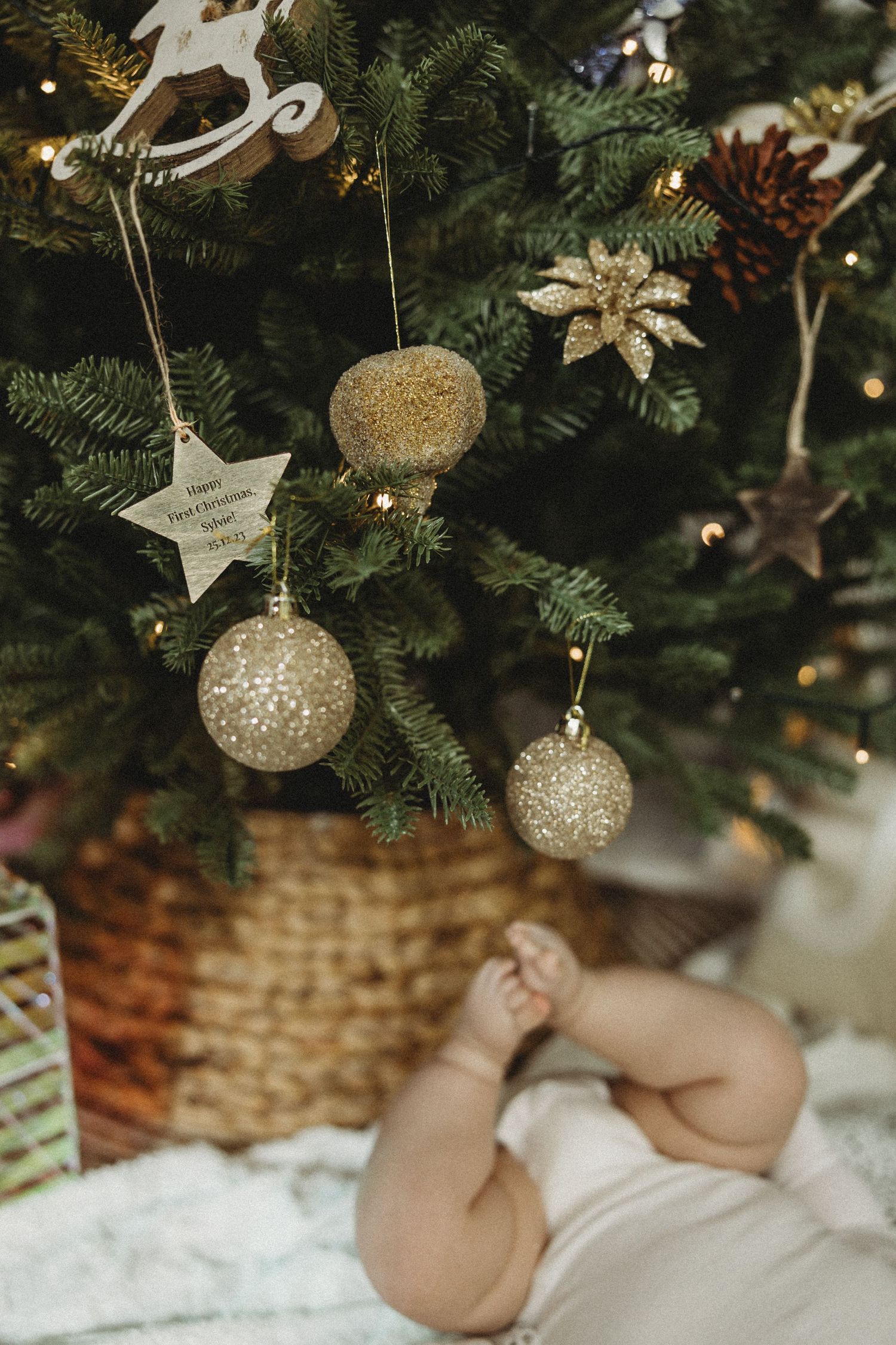 Christmas Mini Sessions in Werribee